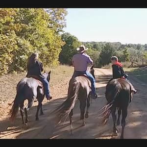 Meet your Posher, Alison